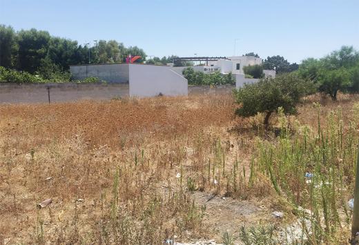 Suolo - Terreni Agricoli Porto Cesareo